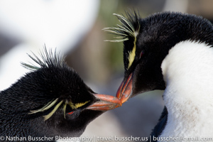 2011 Antarctica Expedition
